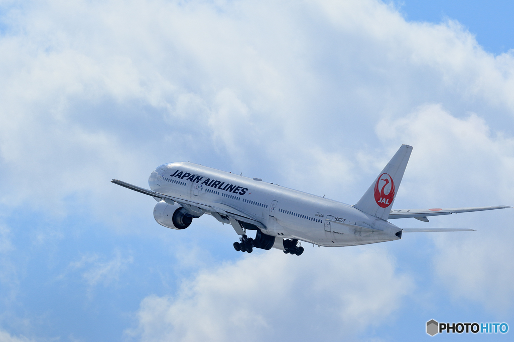 新千歳空港　生コンスポット