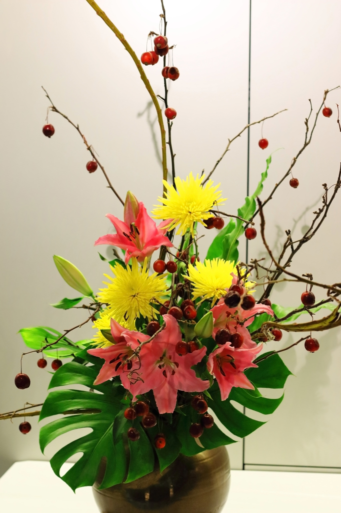 菊３