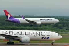 はわいあんあな