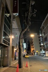 撮りたかった街角風景 In 旭川　S型組立鋼管柱　その４