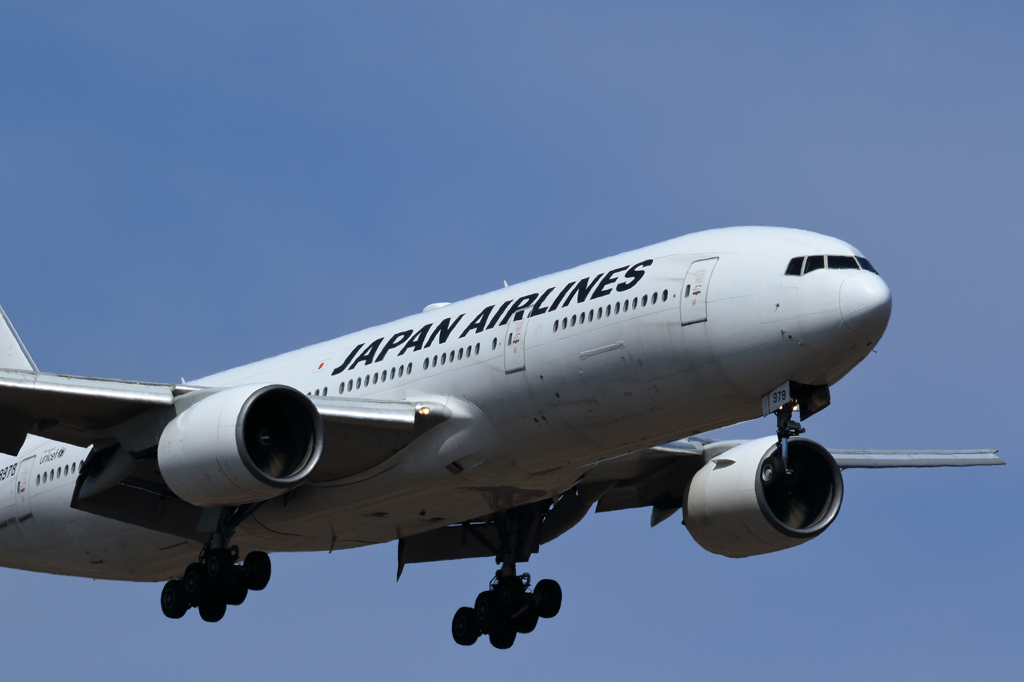 新千歳空港　（ゴールデンウィーク）　No.3