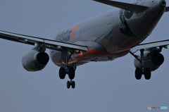 4月だ！！　新千歳空港　Part11