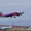 新千歳空港　生コンスポット１０