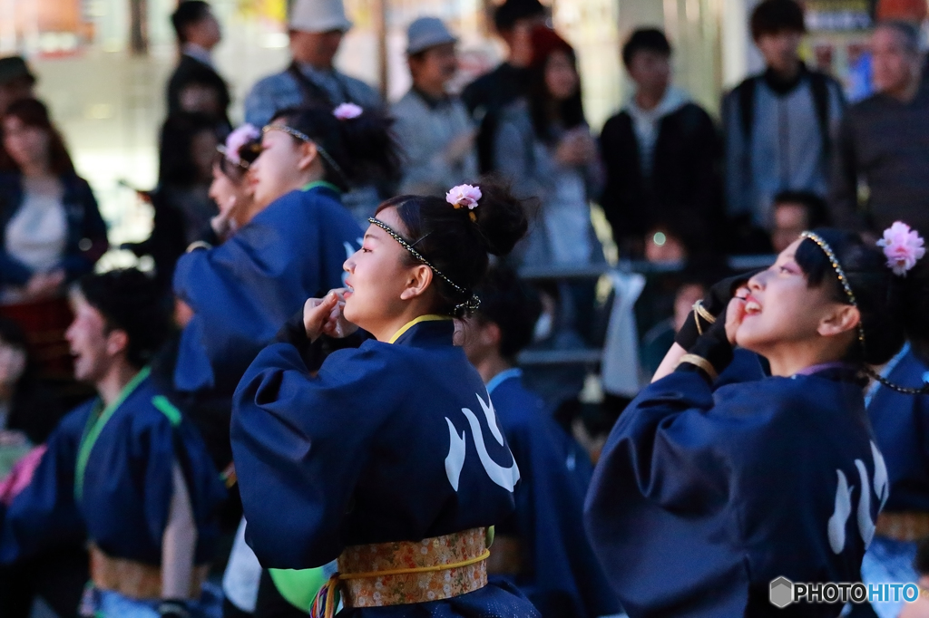 YOSAKOI ソーラン2016　No4