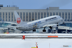 新千歳空港　（１／１６）　その１３