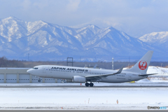 新千歳空港　生コンスポット