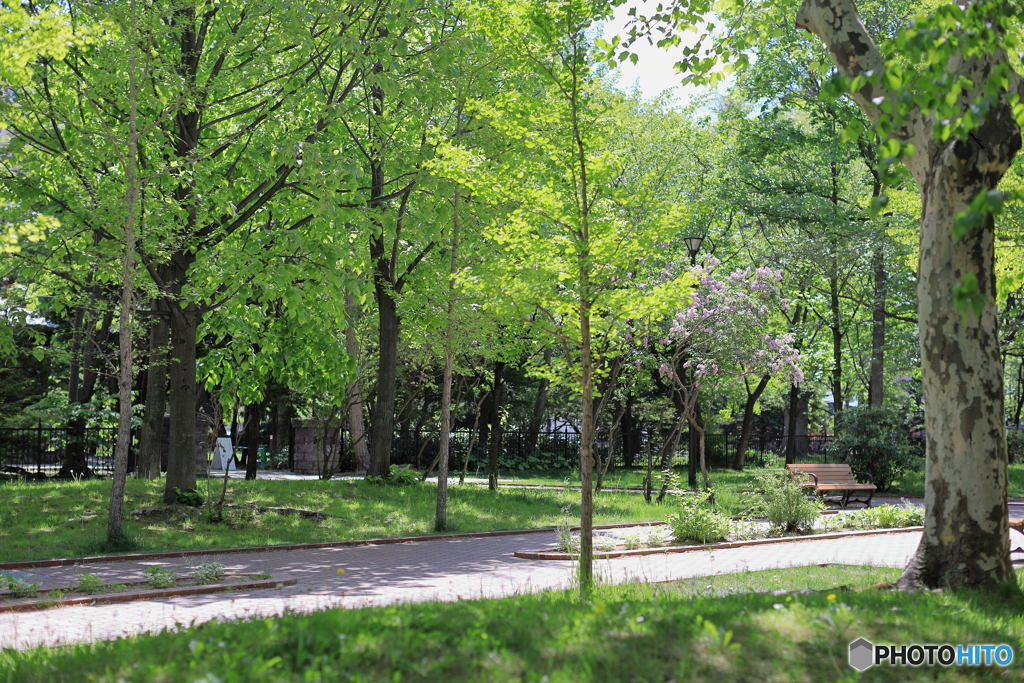 公園の風景　その１