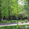 公園の風景　その１