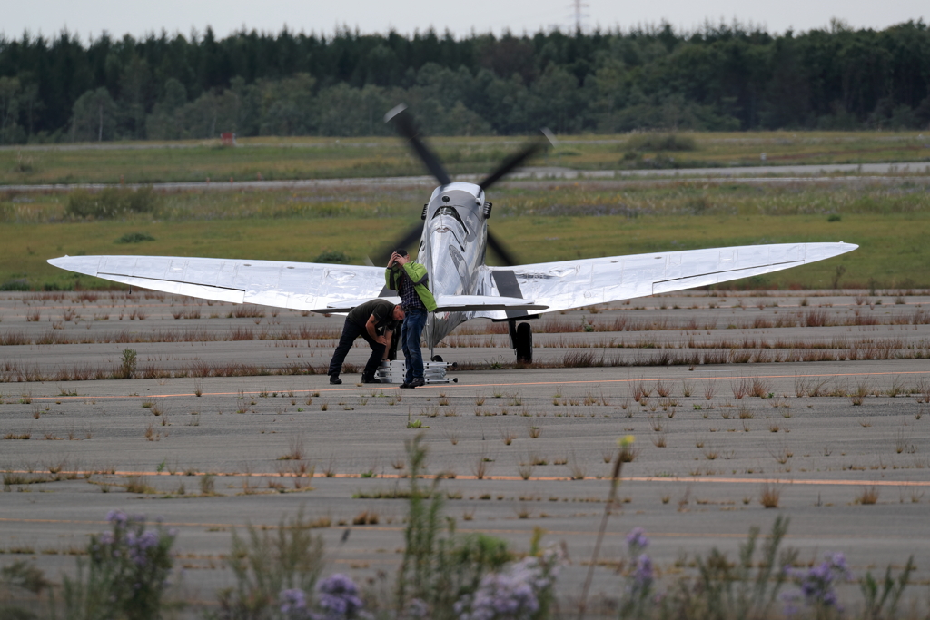 シルバースピットファイア In 千歳　その５