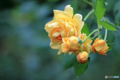 百合が原公園より　Part2