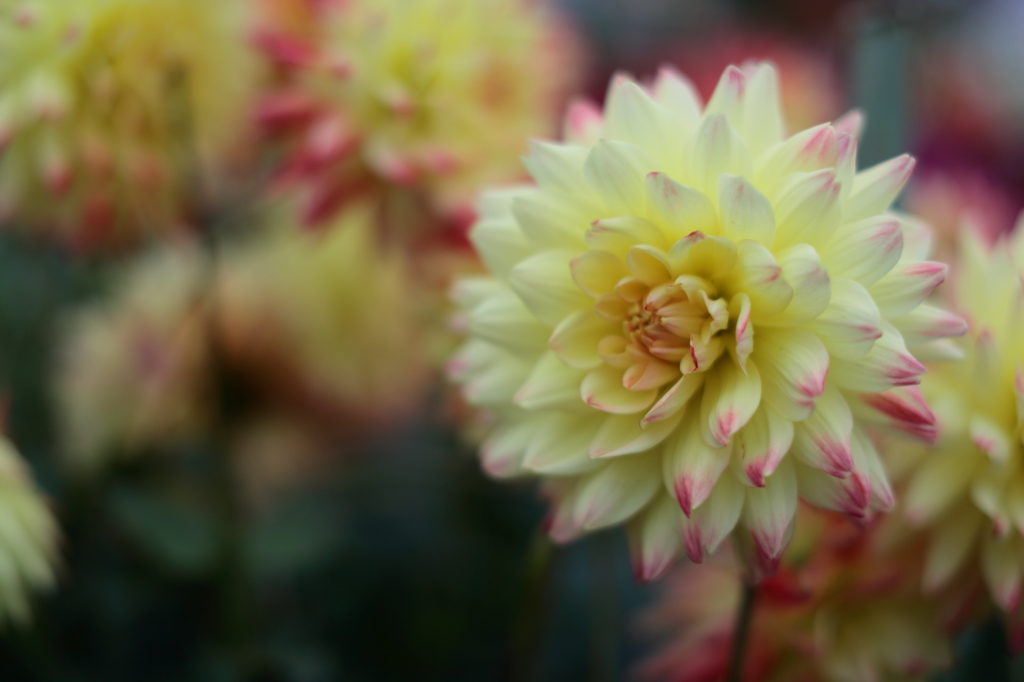 公園の1日　その２