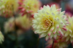 公園の1日　その２