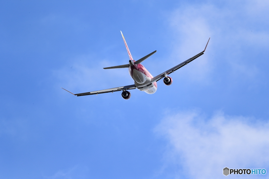 丘珠の空　FDA14号機　ワインレッド
