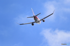 丘珠の空　FDA14号機　ワインレッド