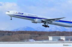 新千歳空港　（１／１６）　その１１
