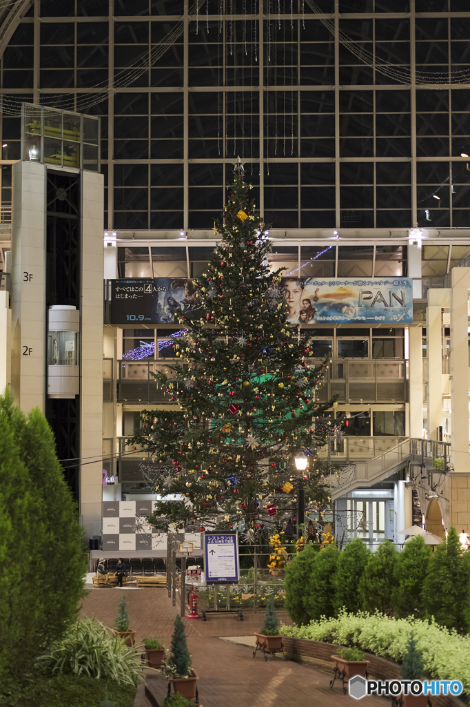 メリークリスマス！！　（まだ早いかな）