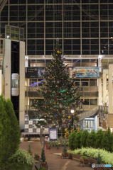 メリークリスマス！！　（まだ早いかな）