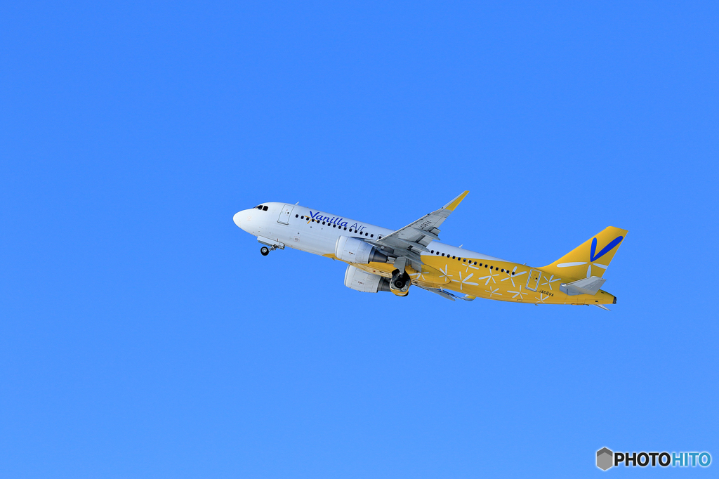 新千歳空港　（１／１６）　その１２