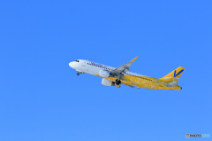 新千歳空港　（１／１６）　その１２