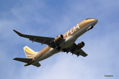 丘珠の空　FDA9号機　ゴールド