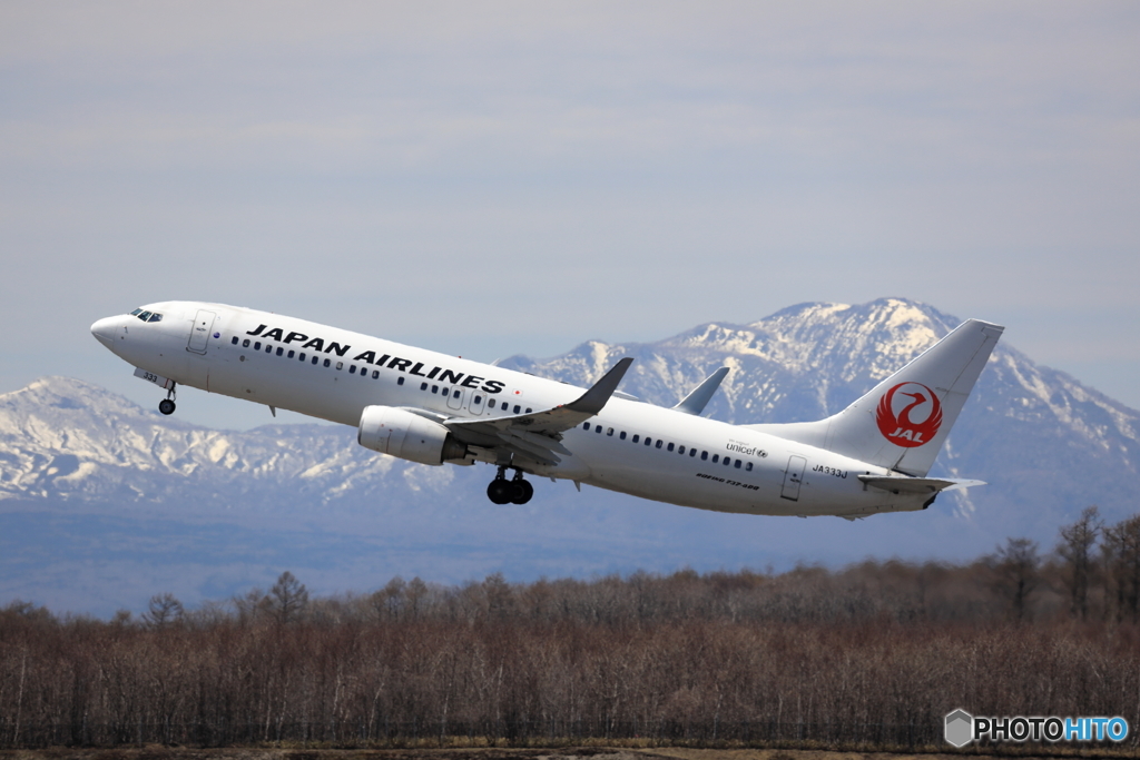 新千歳空港　生コンスポットより　No2　JAL