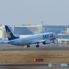 新千歳空港　生コンスポット７