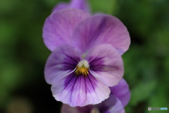 マクロは難しいね！！　Ｎｏ３