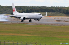 新千歳空港　１０