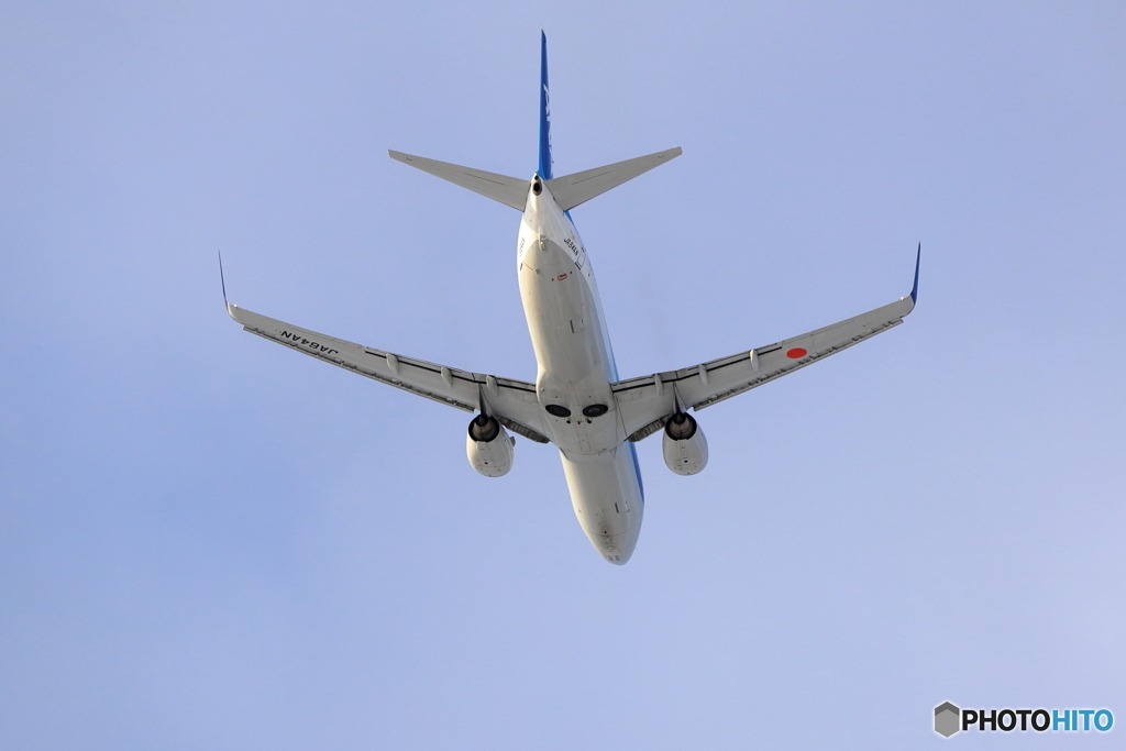 雪レフを求めて　新千歳空港　L19エンド　その７