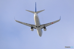 雪レフを求めて　新千歳空港　L19エンド　その７