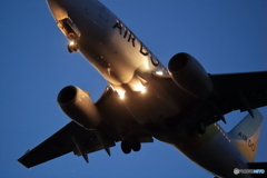 初めての夜活？夕活？　AIR DO