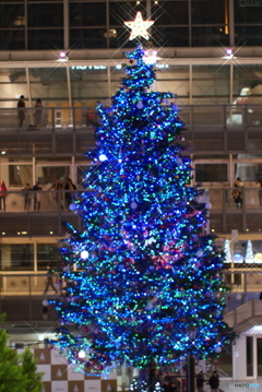 札幌ファクトリー　クリスマスツリー　No3