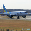 新千歳空港　生コンスポット１６