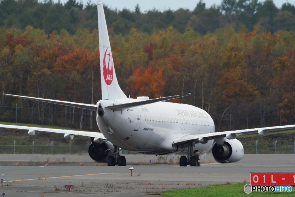 新千歳空港　生コンスポットより　JAL