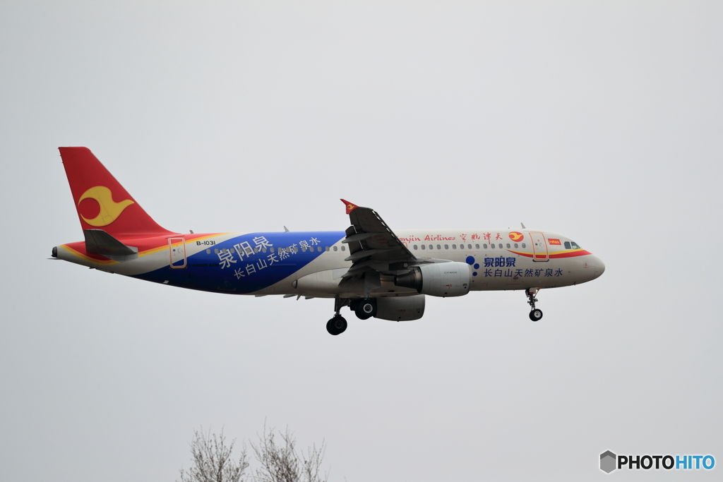 ゴールデンウィーク　千歳三昧　天津航空