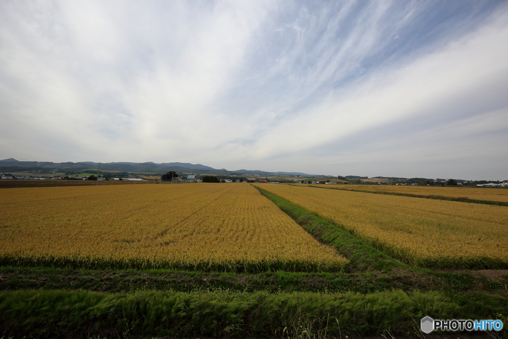 美瑛町　風景２