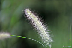 百合が原公園より　Part3