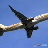丘珠の空　FDA9号機　ゴールド