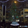 クリスマススツリー　点灯式２
