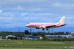 札幌　丘珠空港　ＦＤＡ３号機（ピンク）　来たよ～！！