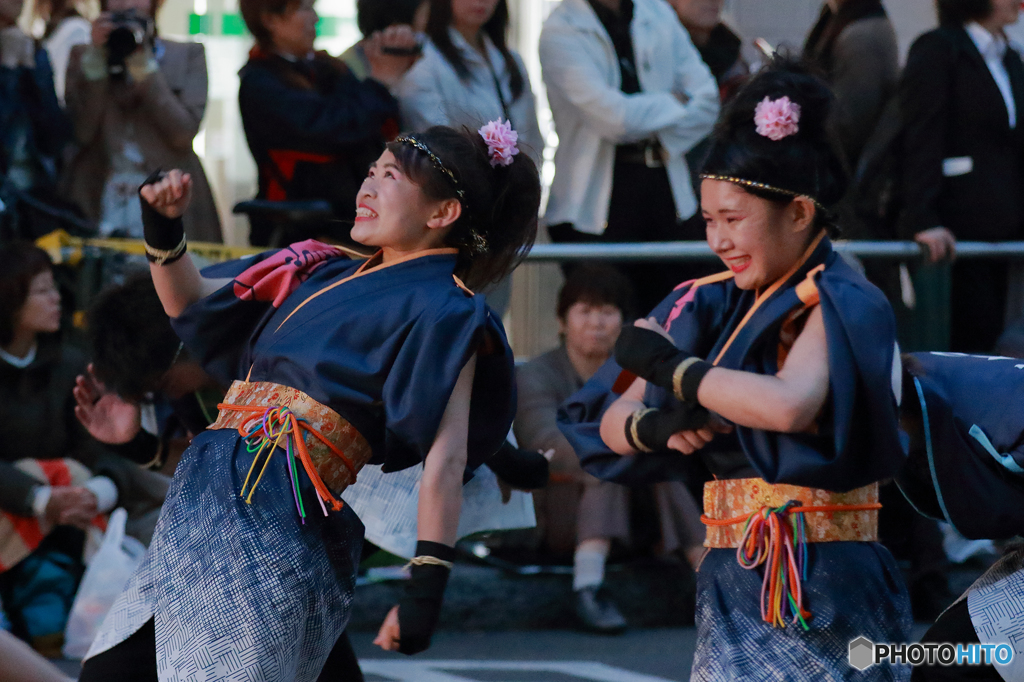 YOSAKOI ソーラン2016　No5