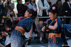 YOSAKOI ソーラン2016　No5