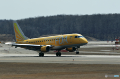 FDA　イエロー　　７号機