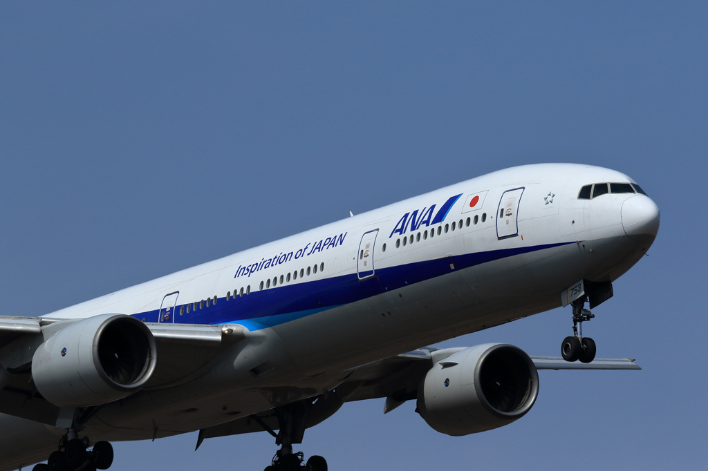 新千歳空港　（ゴールデンウィーク）　No.4