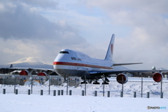 シグナス ジャンボ 勇姿 No2