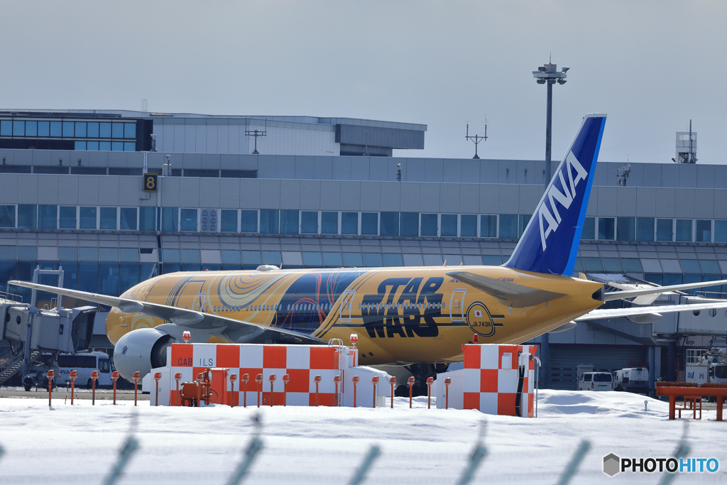 ANA　C-3PO　　新千歳空港　No5