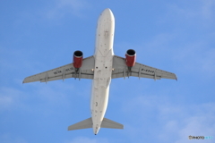 雪レフを求めて　新千歳空港　L19エンド　その３