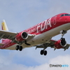 丘珠の空　FDA14号機　ワインレッド