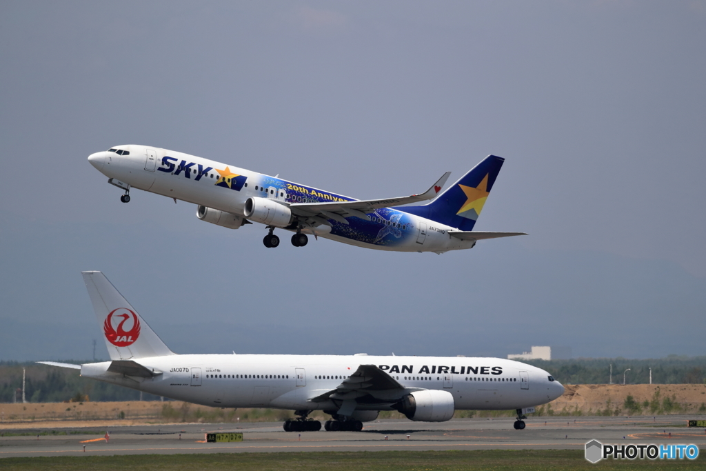 ホヌ1号機が来た日に　新千歳空港生コンスポット　SKY