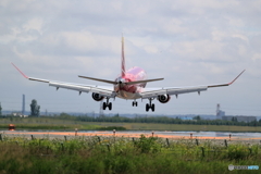 丘珠の空　FDA14号機　ワインレッド